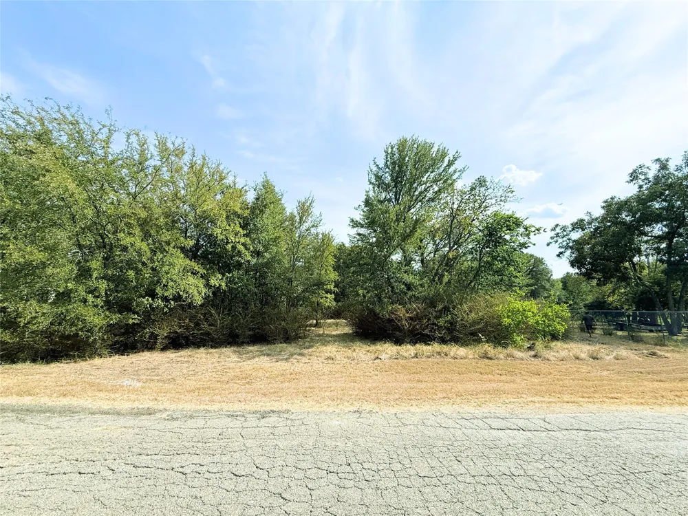 311 Harbor View Point, TX 75472