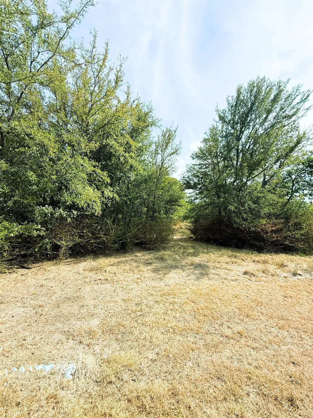 311 Harbor View Point, TX 75472