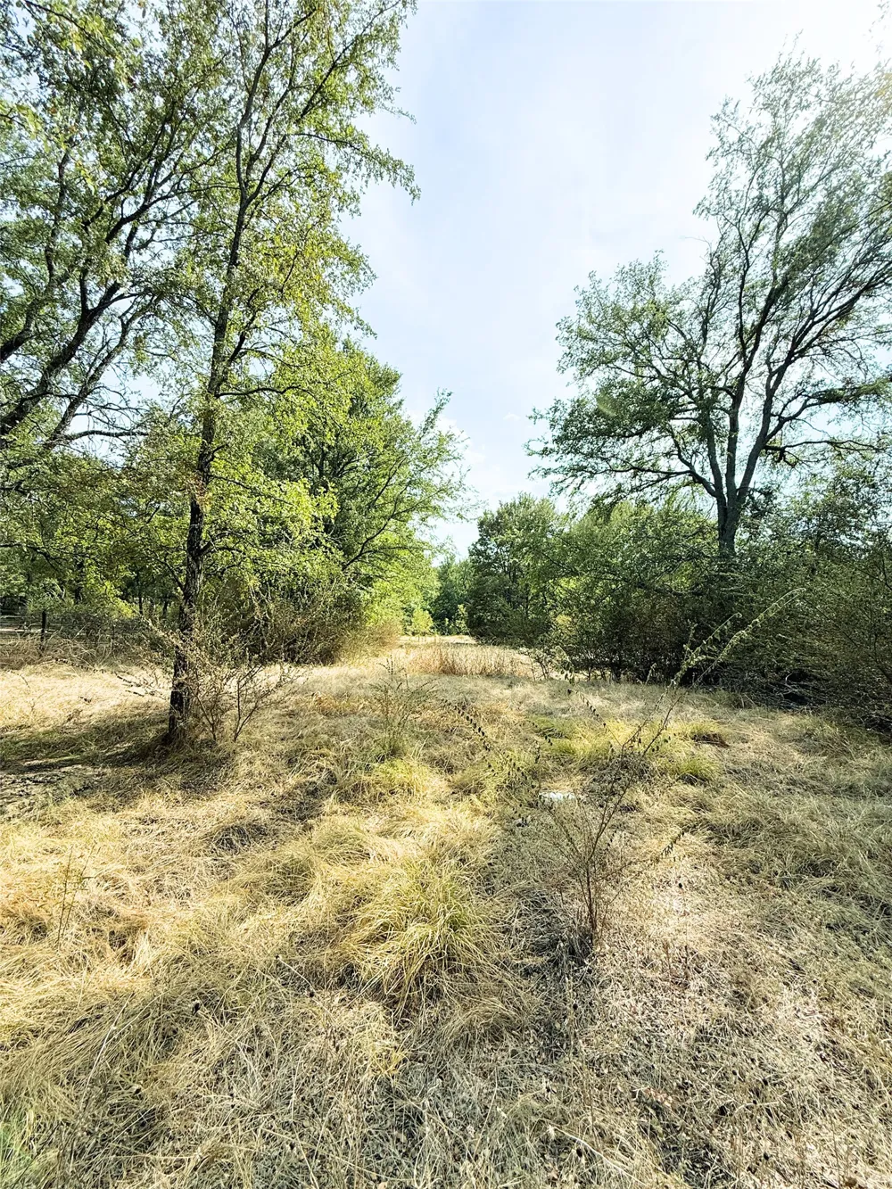 311 Harbor View Point, TX 75472