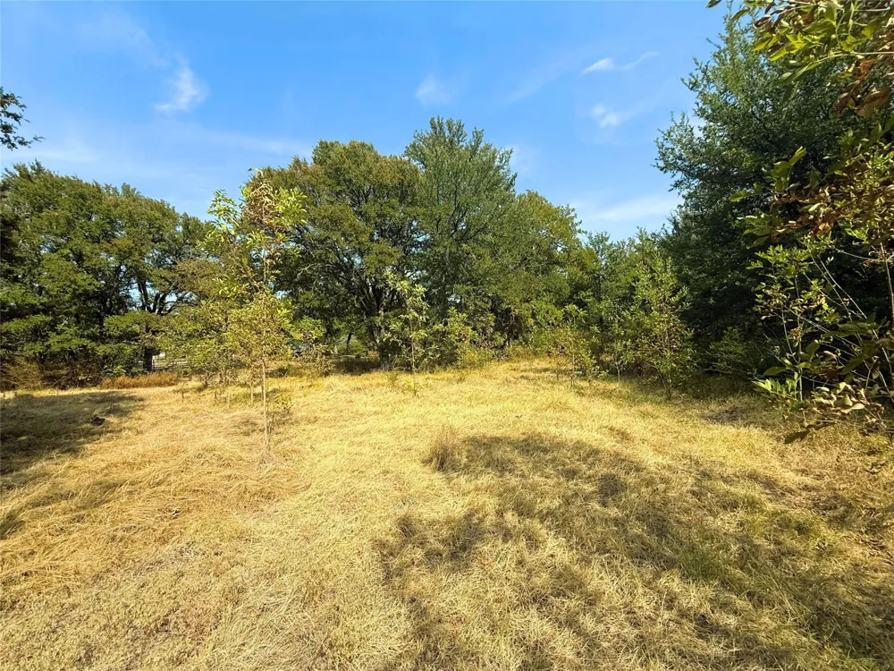 311 Harbor View Point, TX 75472