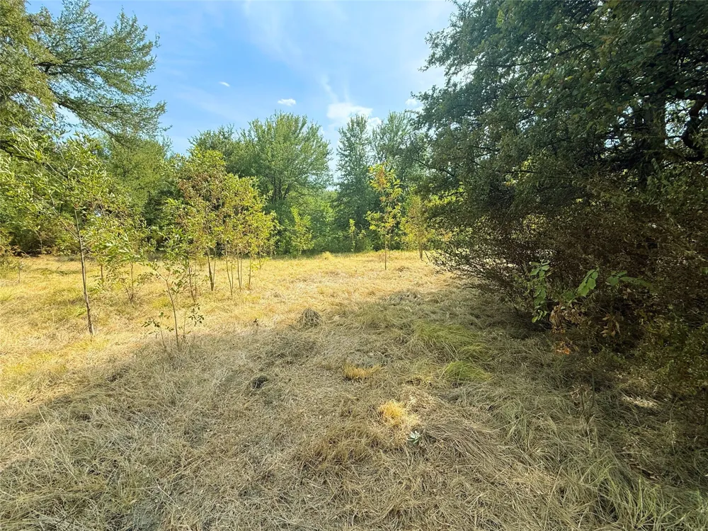 311 Harbor View Point, TX 75472