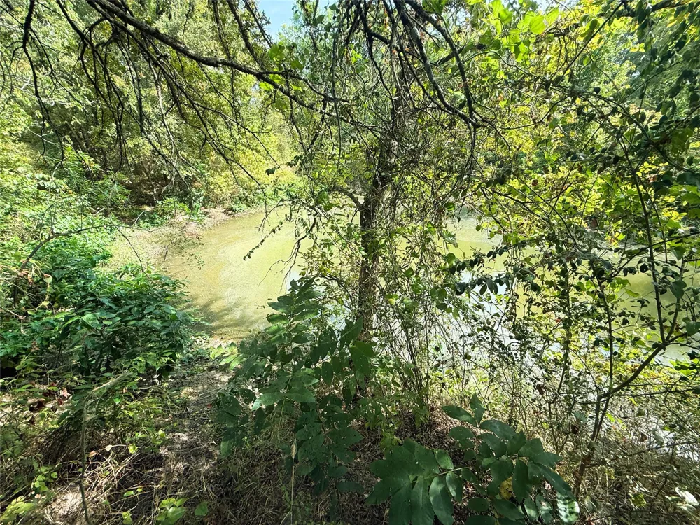311 Harbor View Point, TX 75472