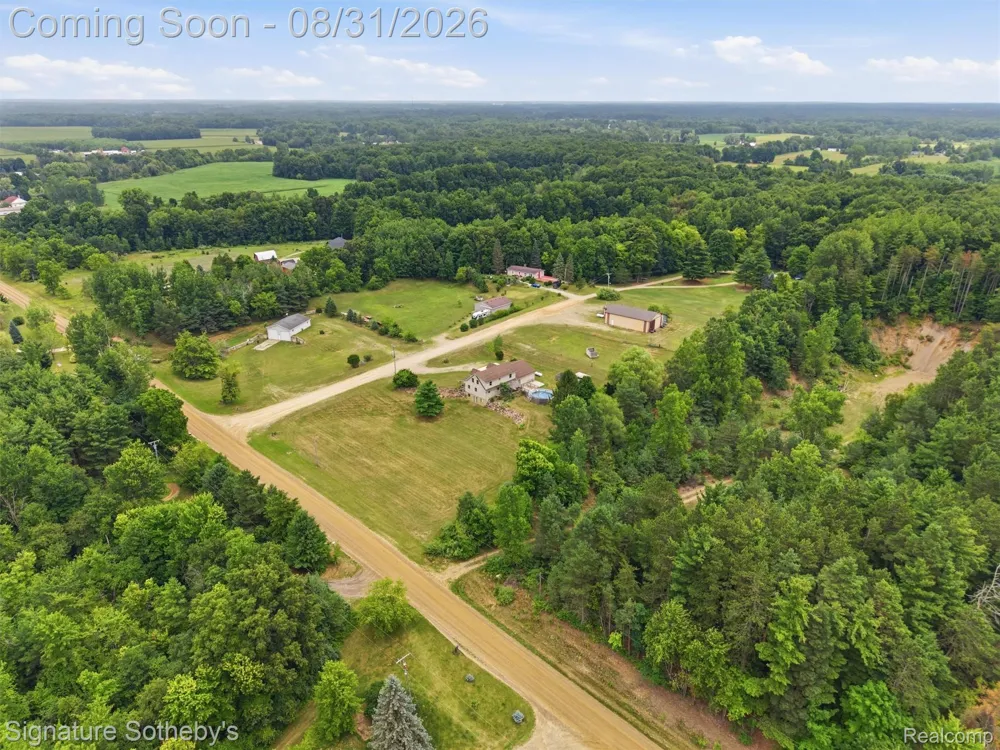 6164 Willits Road Deerfield Township, MI 48435