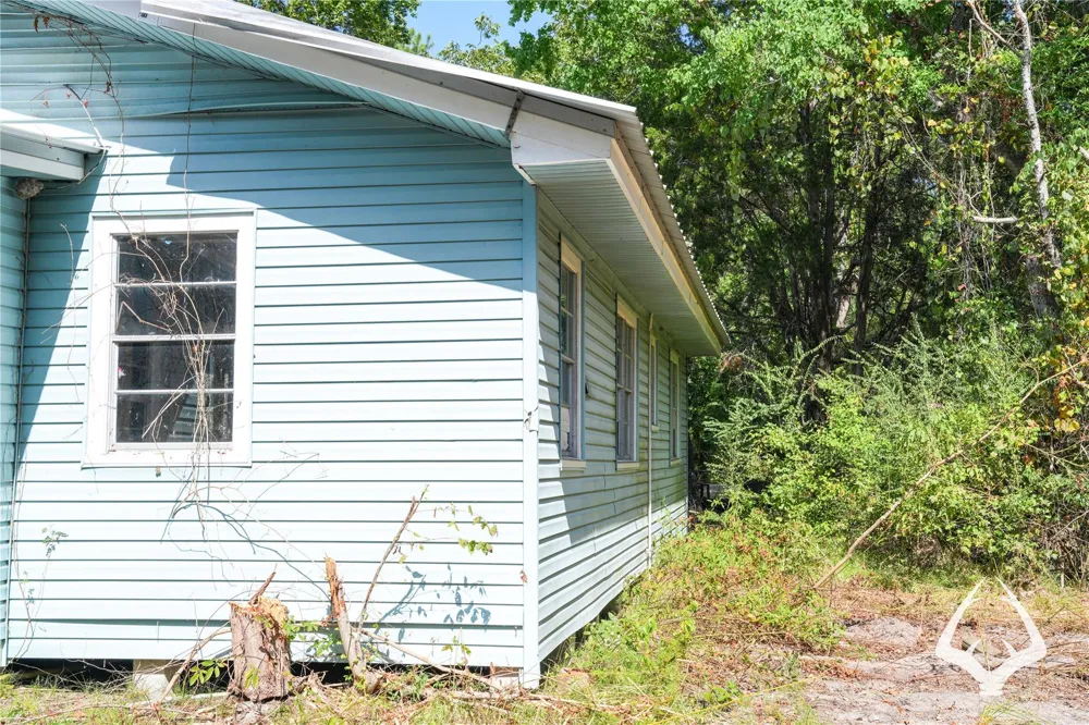 1698 County Road 2975 Colmesneil, TX 75938