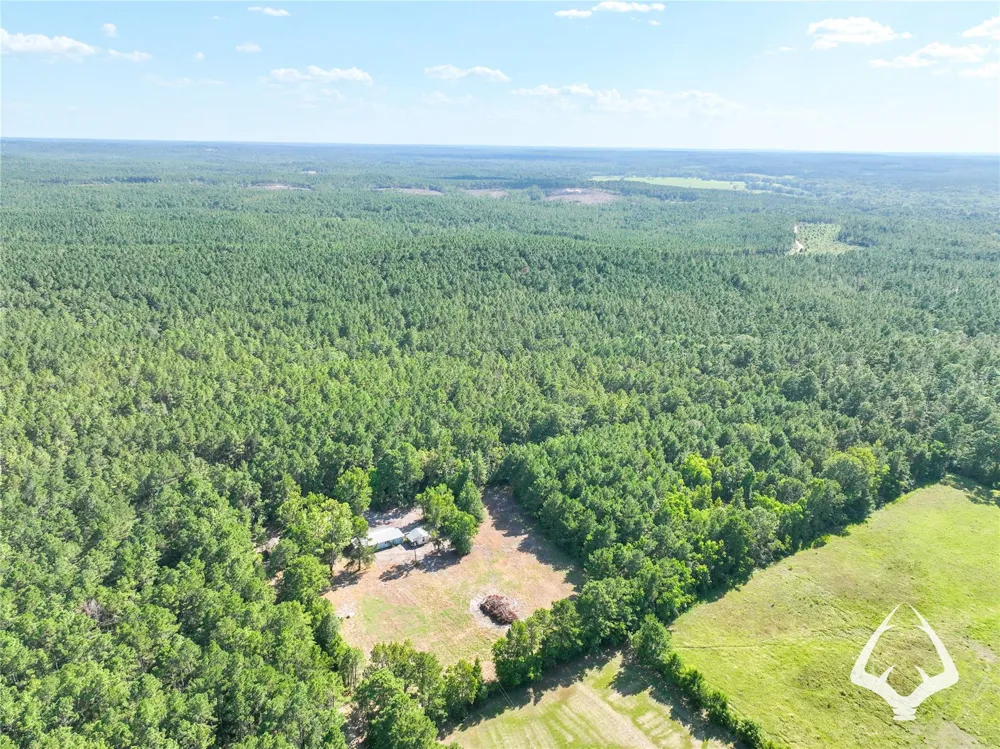 1698 County Road 2975 Colmesneil, TX 75938