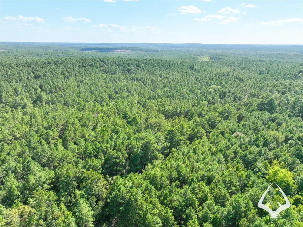 1698 County Road 2975 Colmesneil, TX 75938
