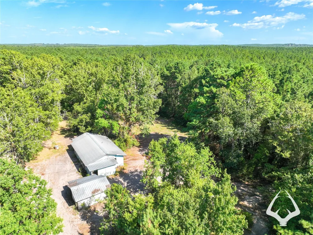 1698 County Road 2975 Colmesneil, TX 75938