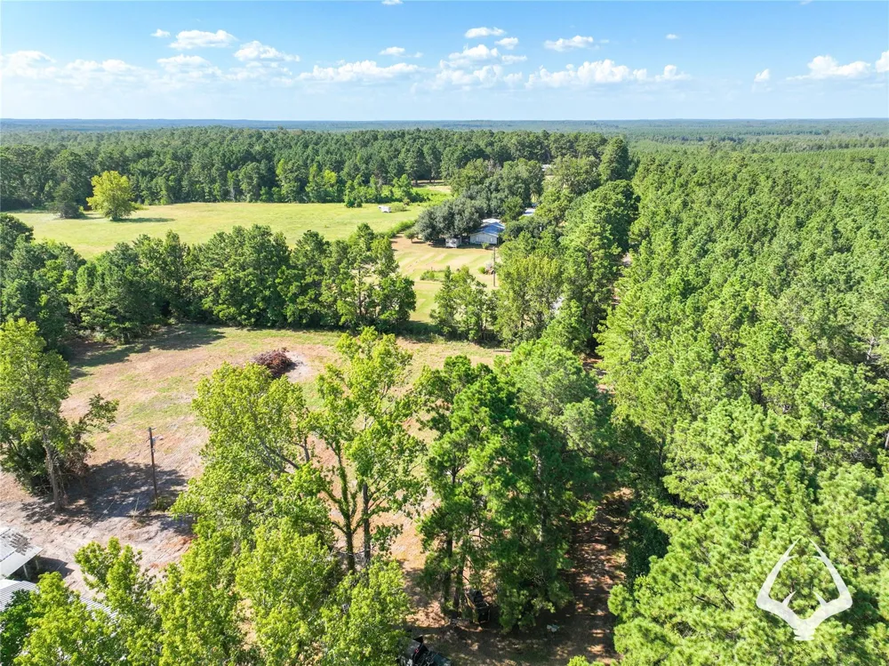 1698 County Road 2975 Colmesneil, TX 75938
