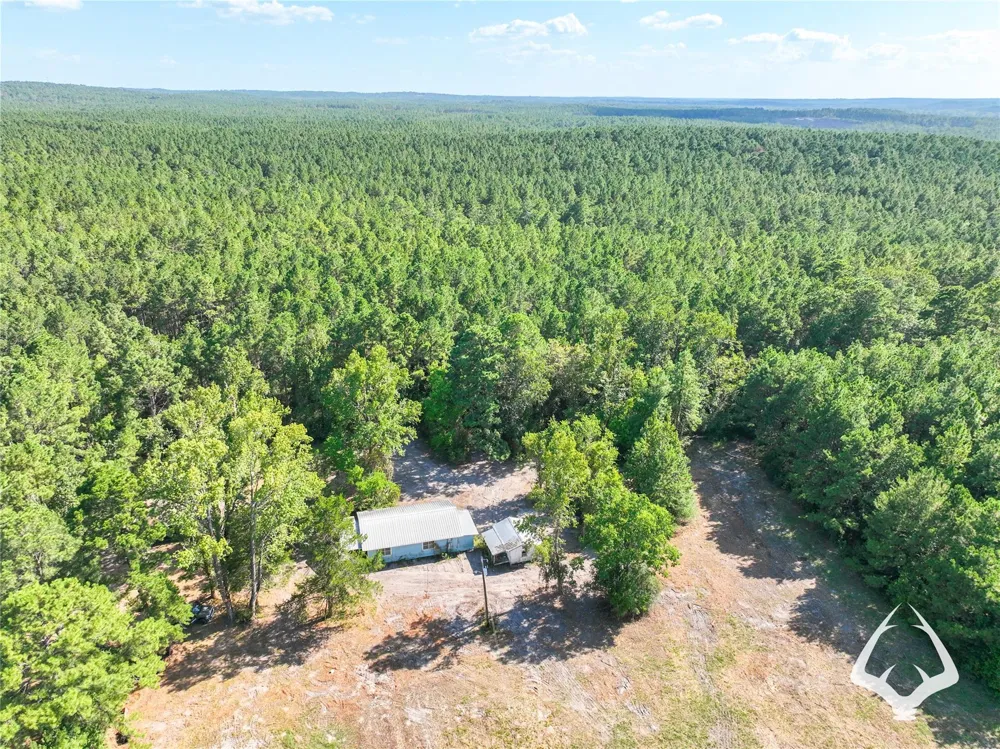 1698 County Road 2975 Colmesneil, TX 75938