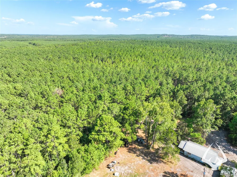 1698 County Road 2975 Colmesneil, TX 75938