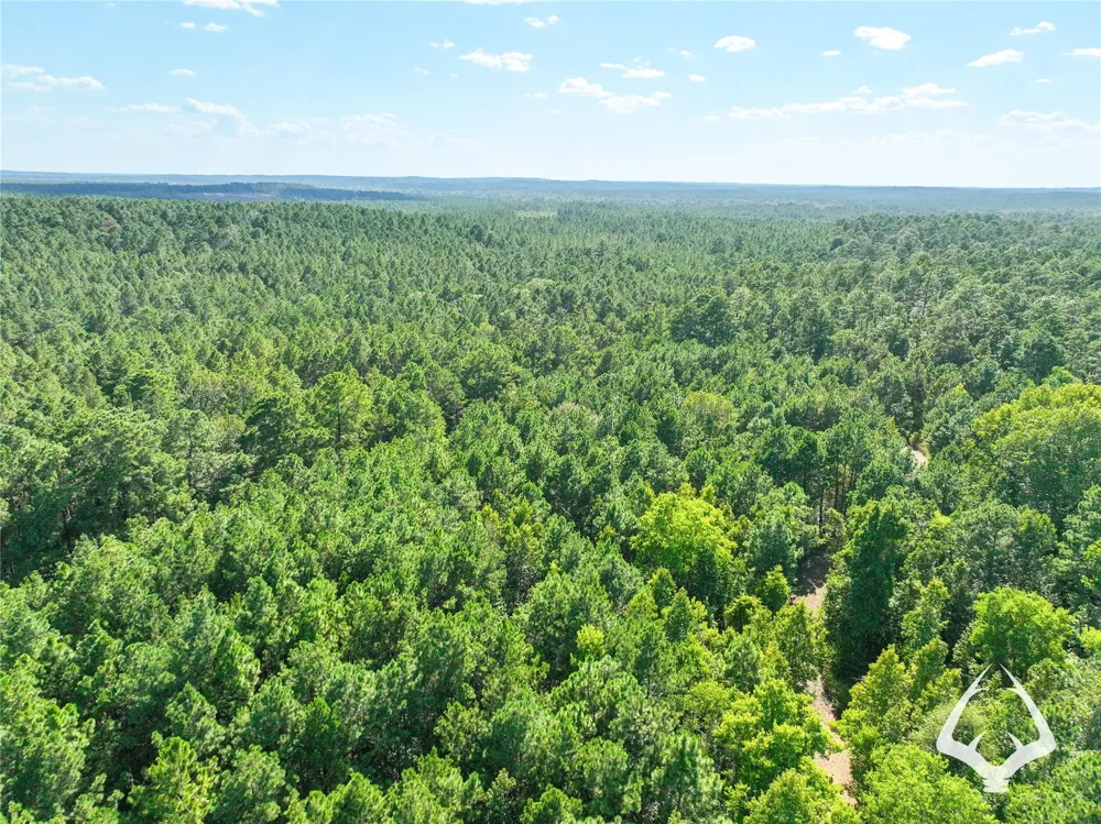 1698 County Road 2975 Colmesneil, TX 75938