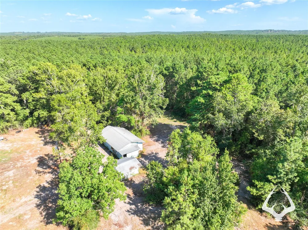1698 County Road 2975 Colmesneil, TX 75938