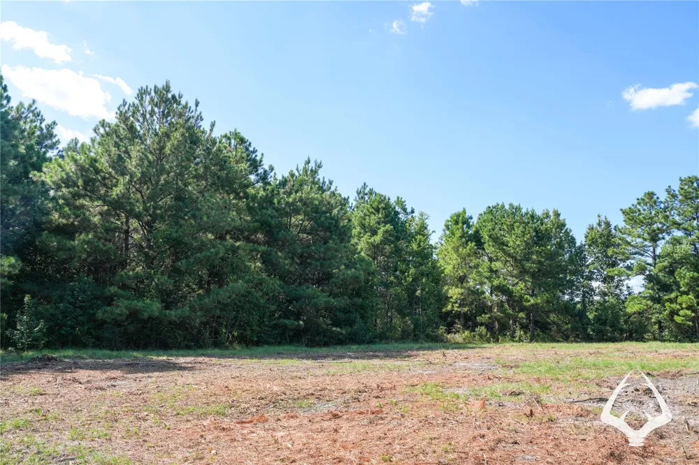 1698 County Road 2975 Colmesneil, TX 75938