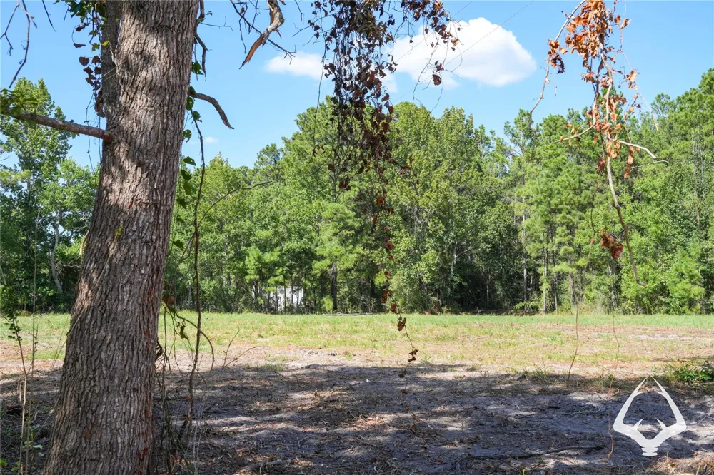 1698 County Road 2975 Colmesneil, TX 75938