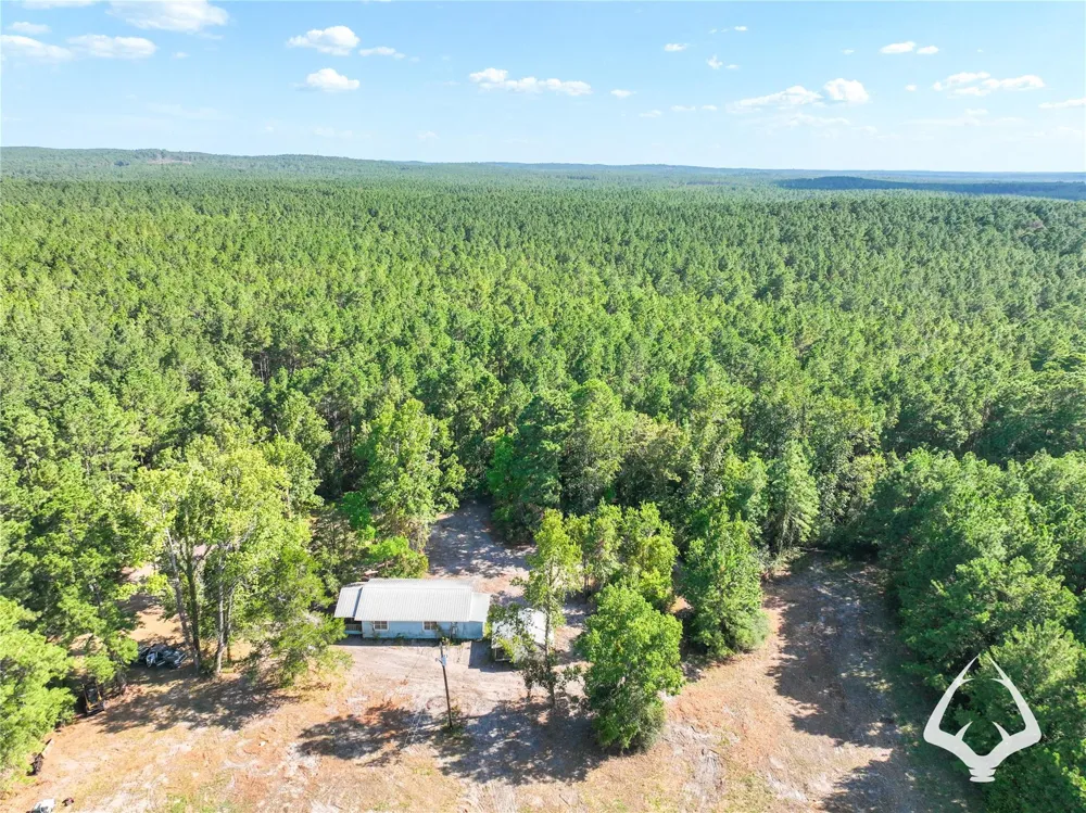 1698 County Road 2975 Colmesneil, TX 75938