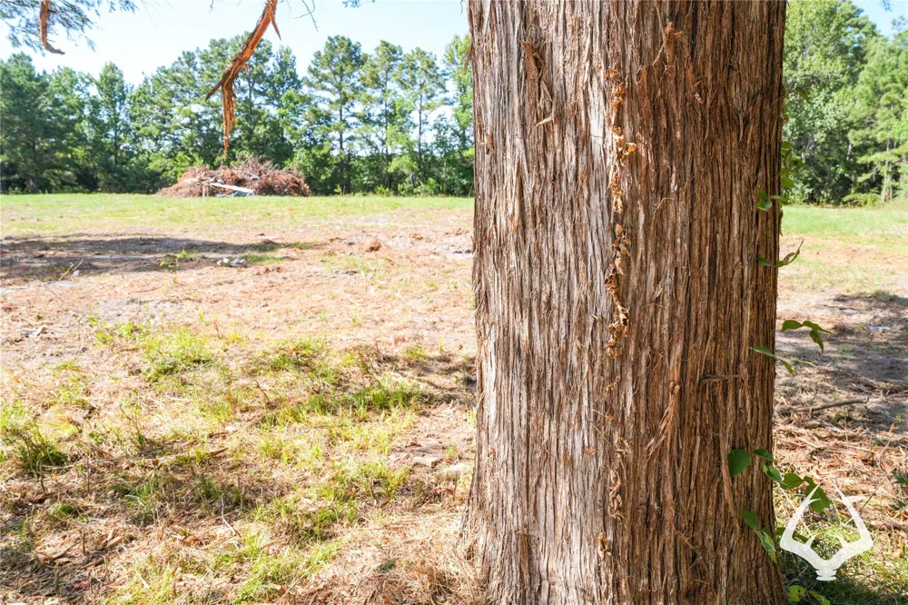 1698 County Road 2975 Colmesneil, TX 75938
