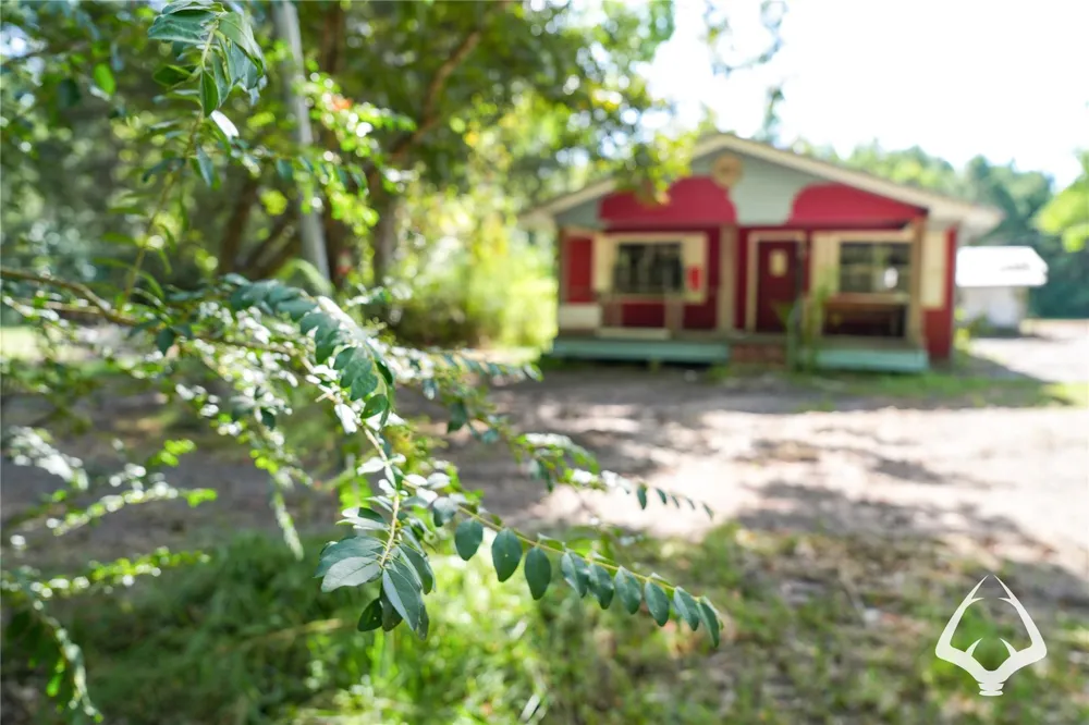 1698 County Road 2975 Colmesneil, TX 75938