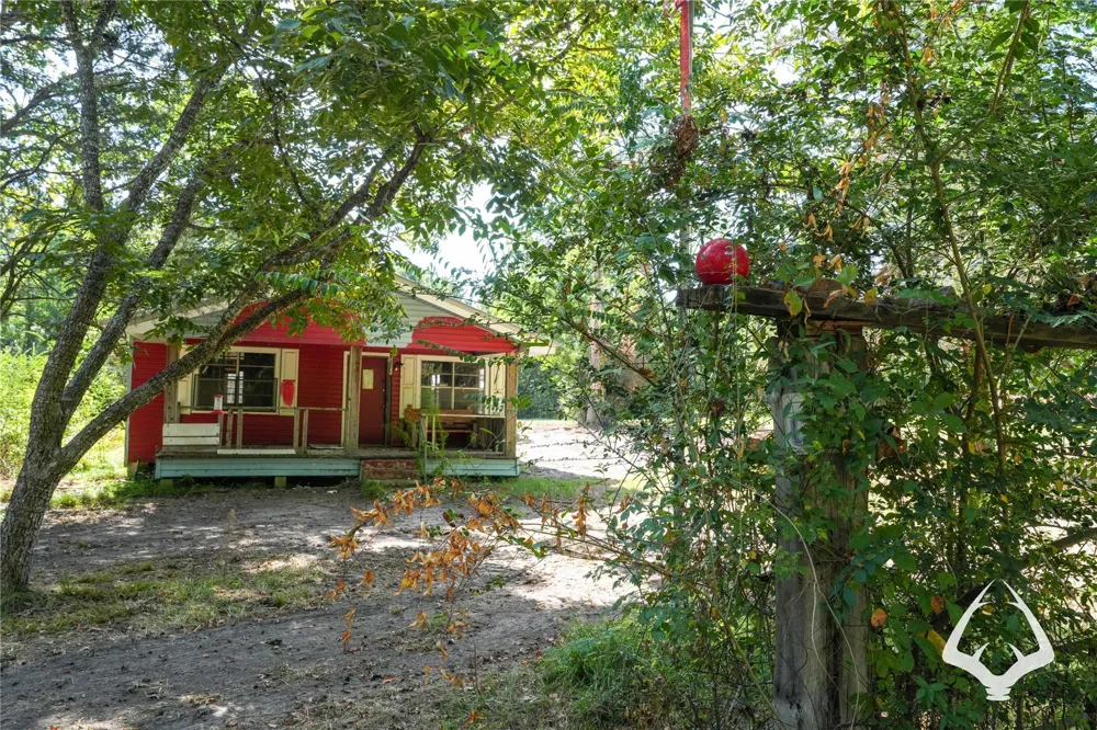 1698 County Road 2975 Colmesneil, TX 75938