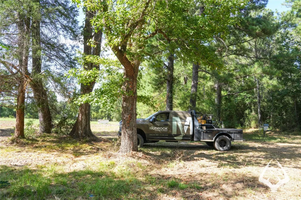 1698 County Road 2975 Colmesneil, TX 75938