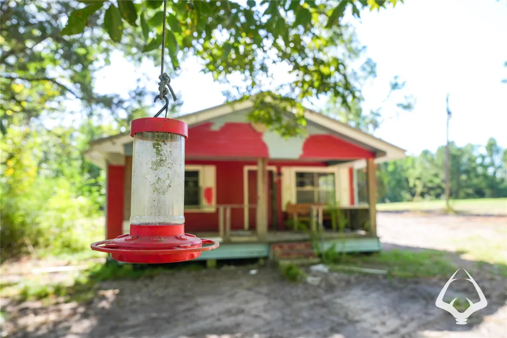 1698 County Road 2975 Colmesneil, TX 75938