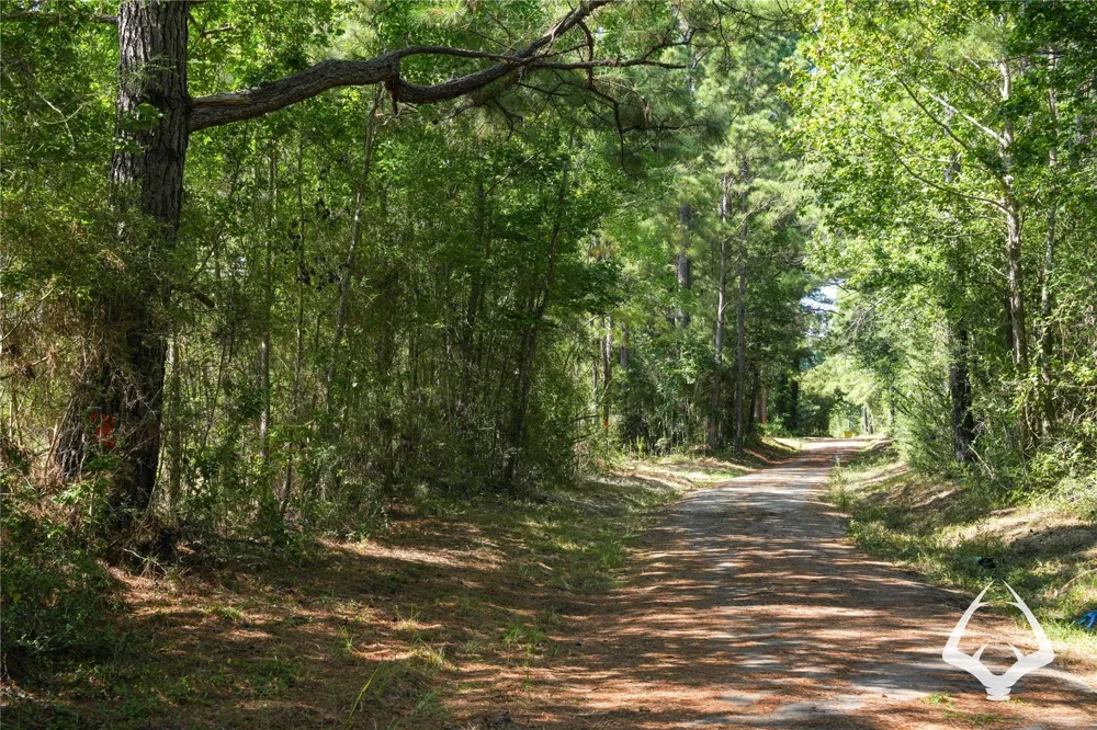 1698 County Road 2975 Colmesneil, TX 75938