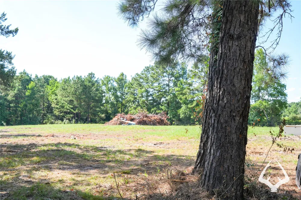 1698 County Road 2975 Colmesneil, TX 75938