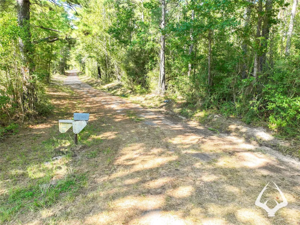 1698 County Road 2975 Colmesneil, TX 75938