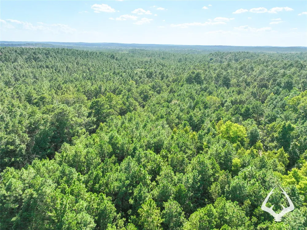 1698 County Road 2975 Colmesneil, TX 75938