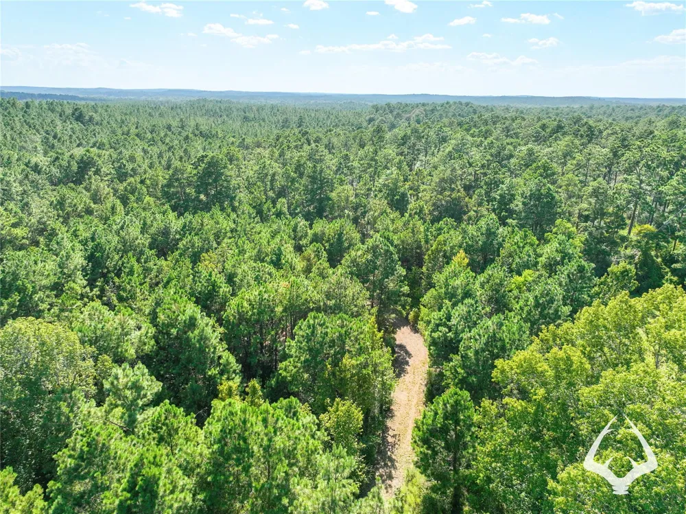 1698 County Road 2975 Colmesneil, TX 75938