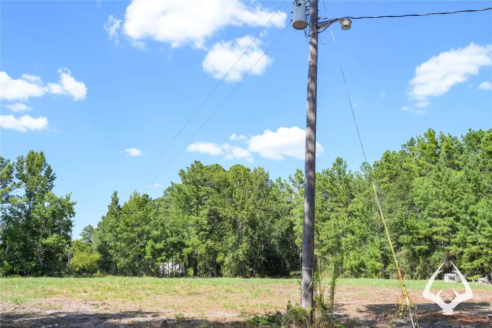 1698 County Road 2975 Colmesneil, TX 75938