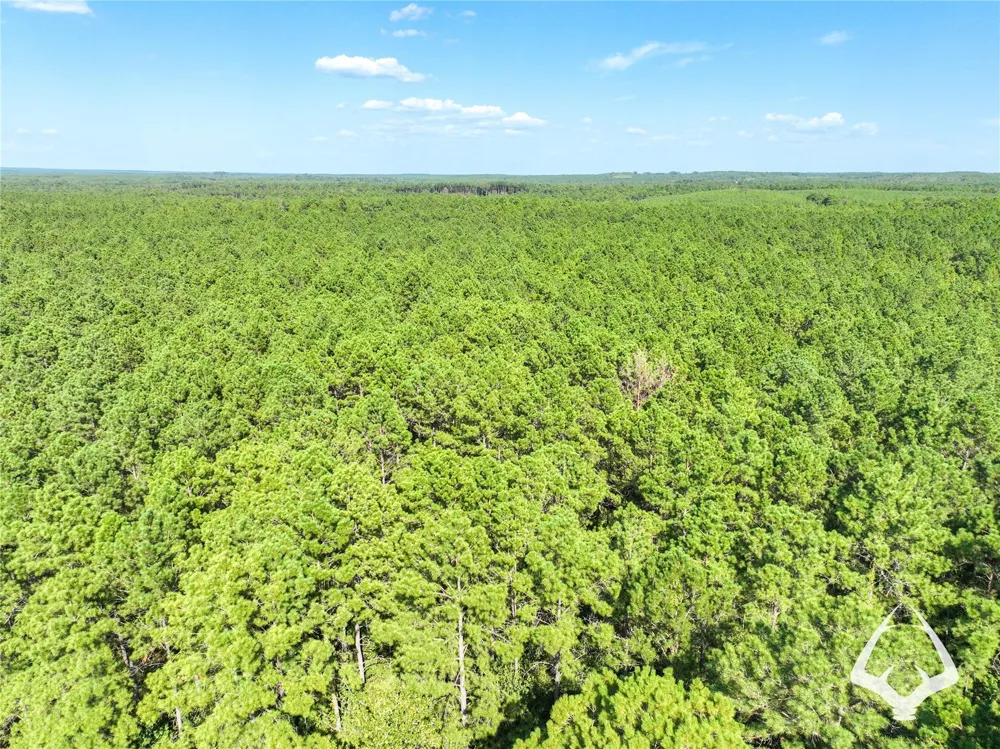 1698 County Road 2975 Colmesneil, TX 75938