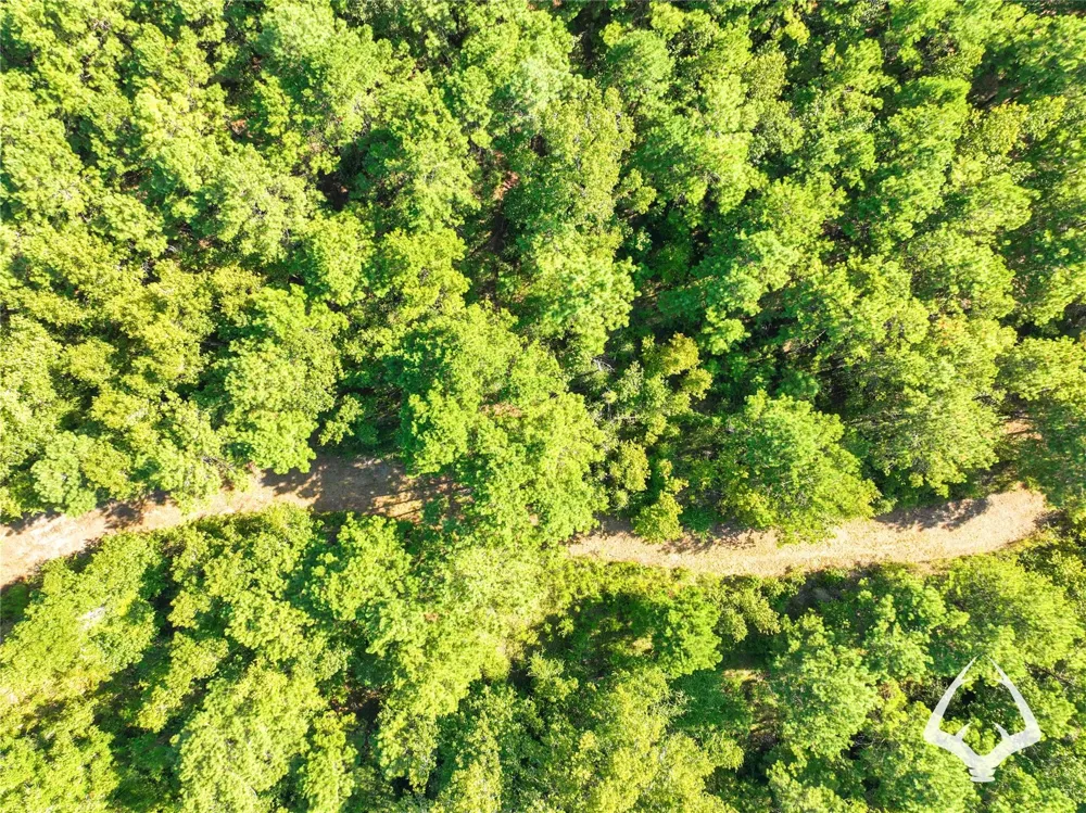 1698 County Road 2975 Colmesneil, TX 75938
