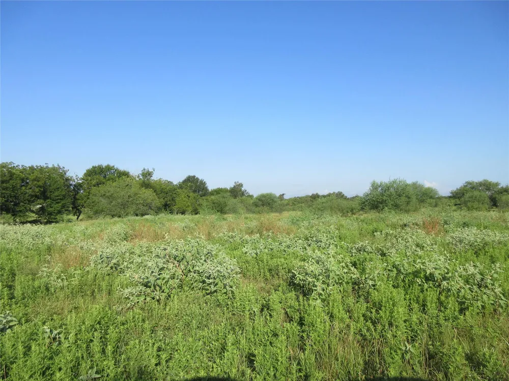 Sterling Road Pattison, TX 77423