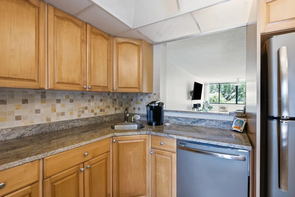 2621 COVE CAY DRIVE #203 Clearwater, FL 33760