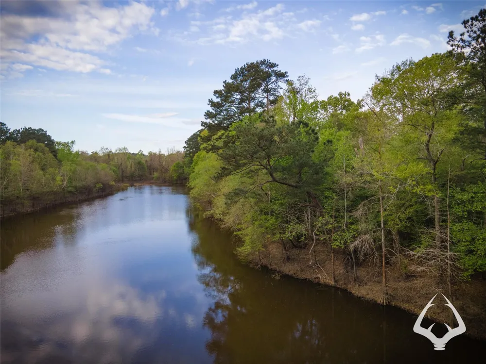 4804 County Road 3900 Colmesneil, TX 75938