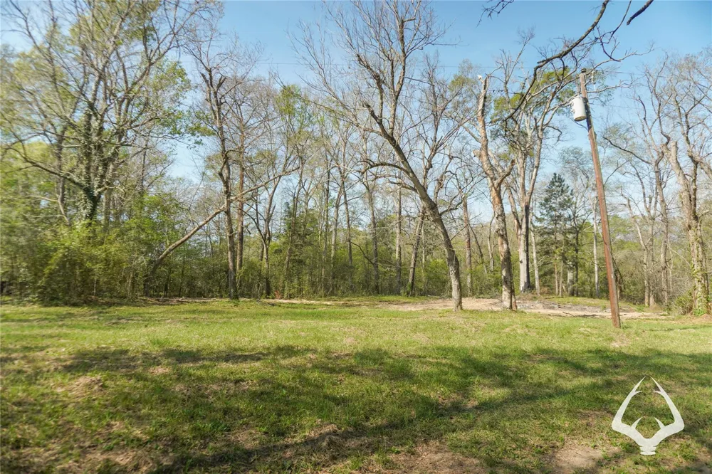 4804 County Road 3900 Colmesneil, TX 75938