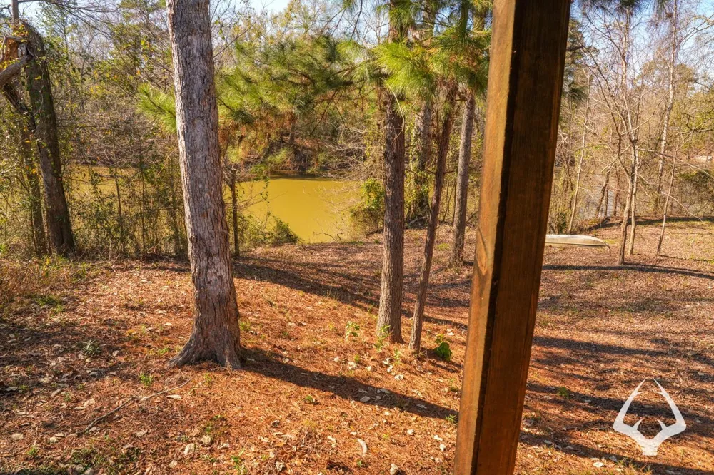 4804 County Road 3900 Colmesneil, TX 75938