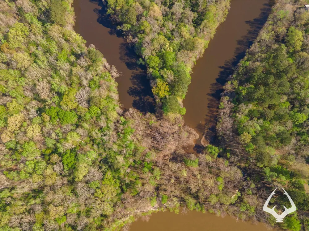 4804 County Road 3900 Colmesneil, TX 75938