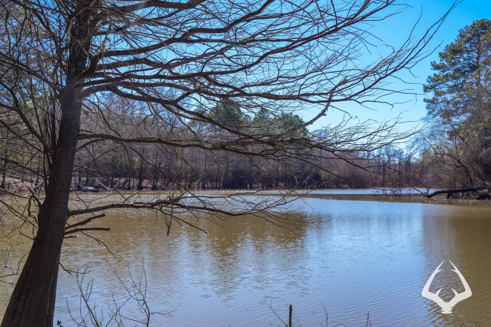 4804 County Road 3900 Colmesneil, TX 75938