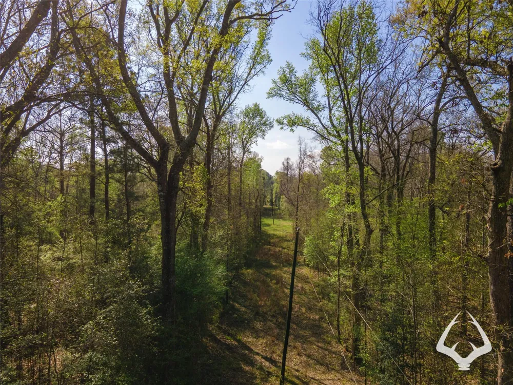 4804 County Road 3900 Colmesneil, TX 75938