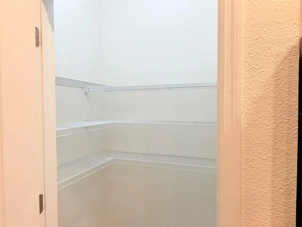 32965 KALOKO ROAD Wesley Chapel, FL 33543