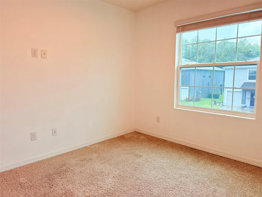32965 KALOKO ROAD Wesley Chapel, FL 33543