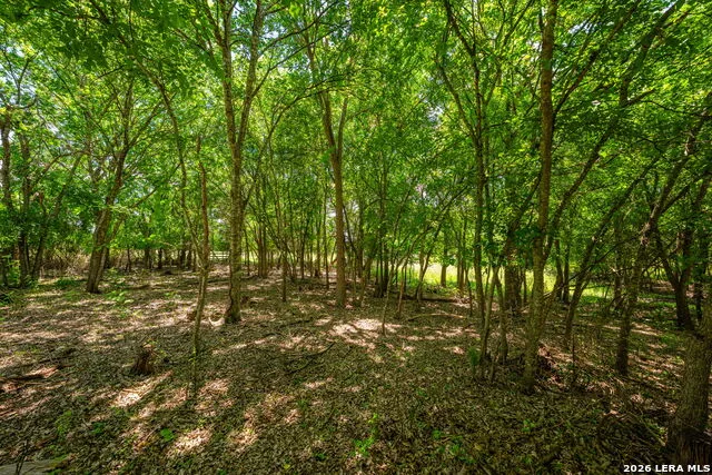 242 LILLIAN DR Kerrville, TX 78028