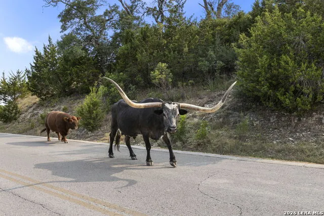 LOT 43 ESTANCIA LN Boerne, TX 78006