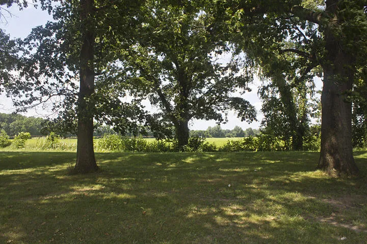 54040 92nd Avenue Hamilton Township, MI 49047