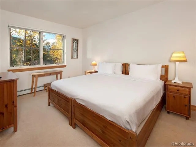 57 Lake Ridge Circle #1850 Dillon, CO 80435