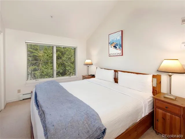 57 Lake Ridge Circle #1850 Dillon, CO 80435