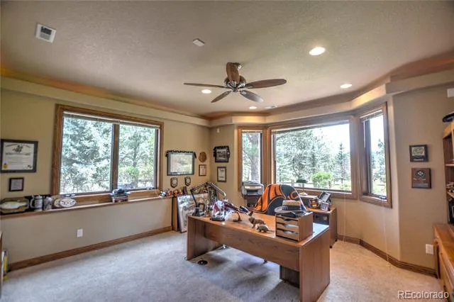 19315 Bardsley Place Monument, CO 80132