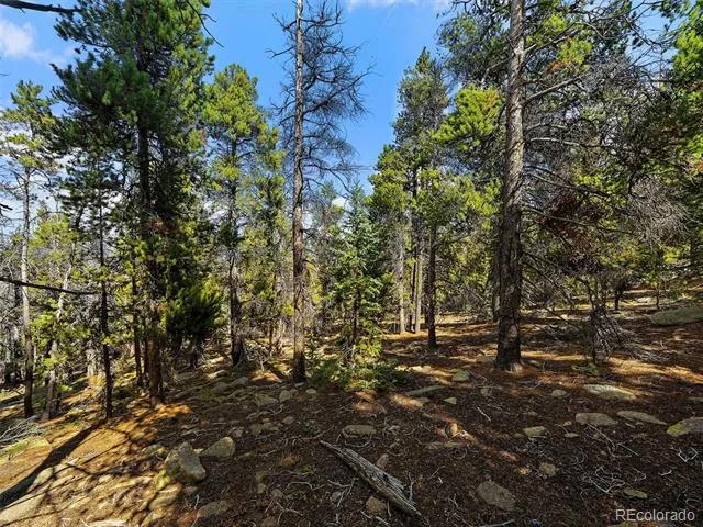 000 Edward Drive Conifer, CO 80433