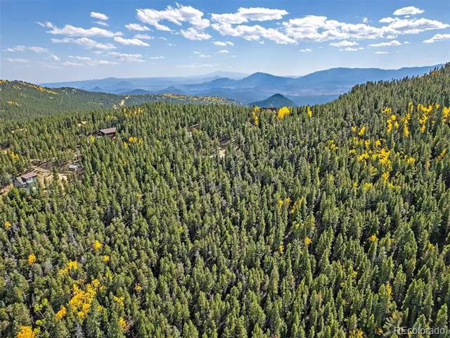 000 Edward Drive Conifer, CO 80433